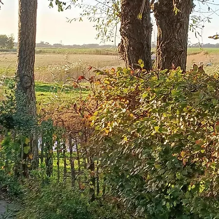 For 4 Guest * Sint Maartensvlotbrug
