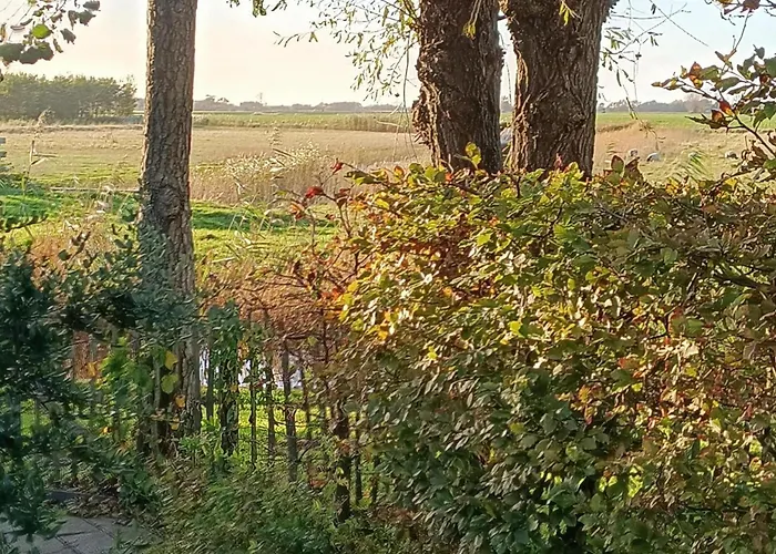 Cozy In Sint Maartenszee * Sint Maartensvlotbrug