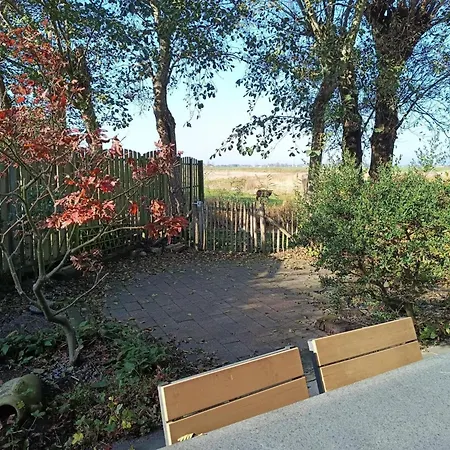Semesterbostad Cozy In Sint Maartenszee